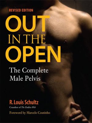 cover image of Out in the Open